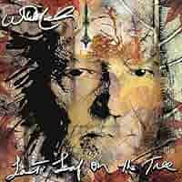Willie Nelson, Willie Nelson, Willie Nelson - Last Leaf On